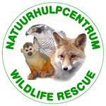 wildlife